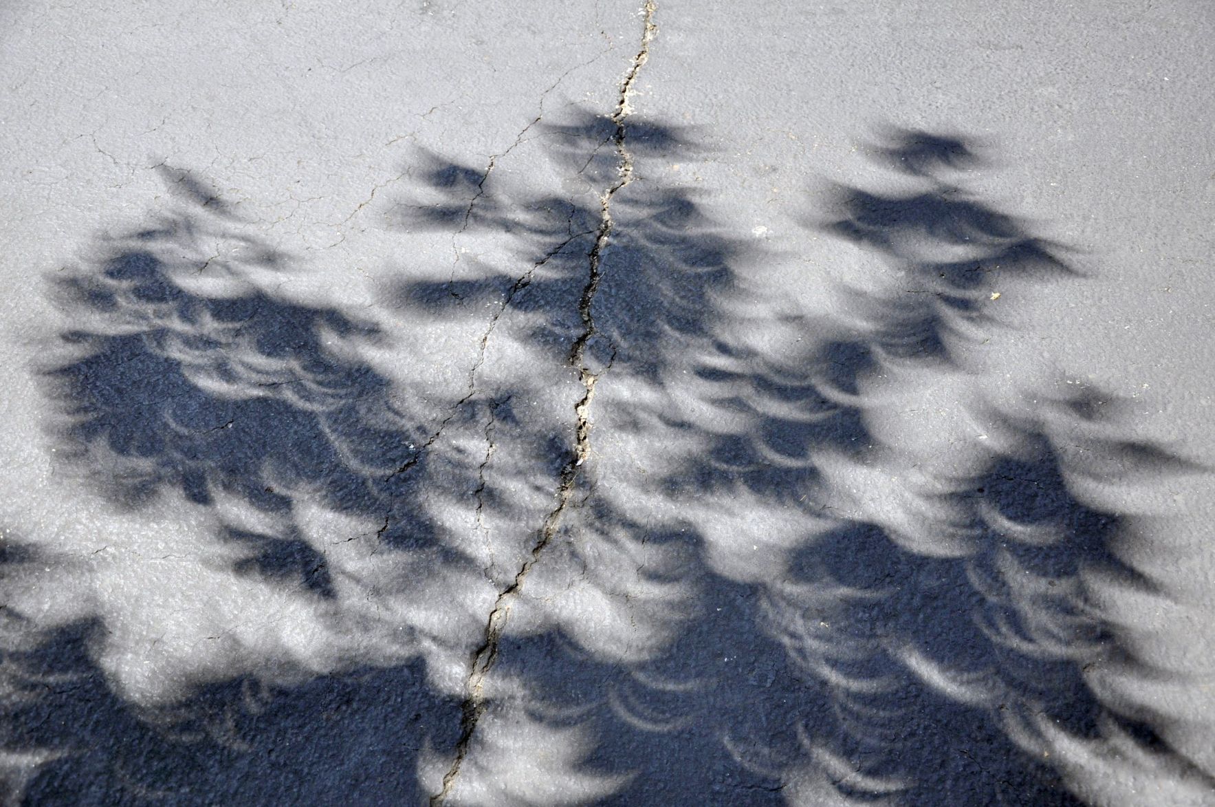 Experiencing the solar eclipse in Webster Groves